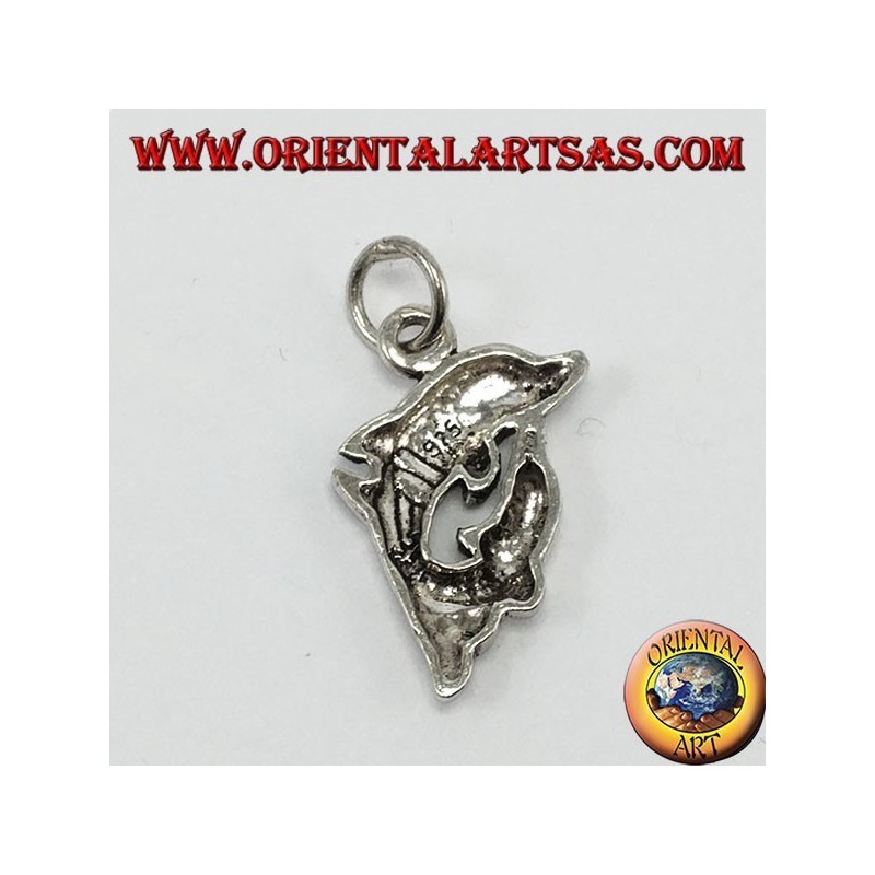 Silver pendant two dolphins spinning