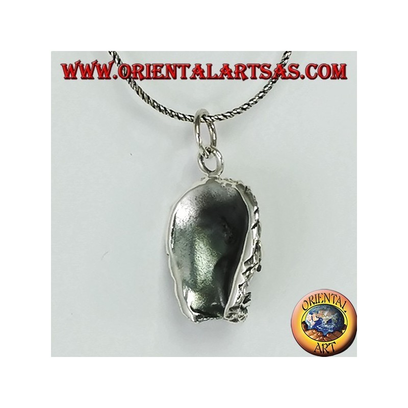 Pendentif en argent avec une tête de lion agressive