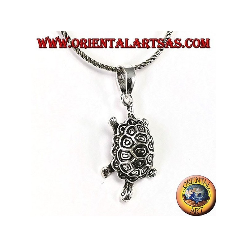 Colgante de concha de plata