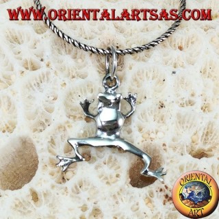 Colgante de plata de rana