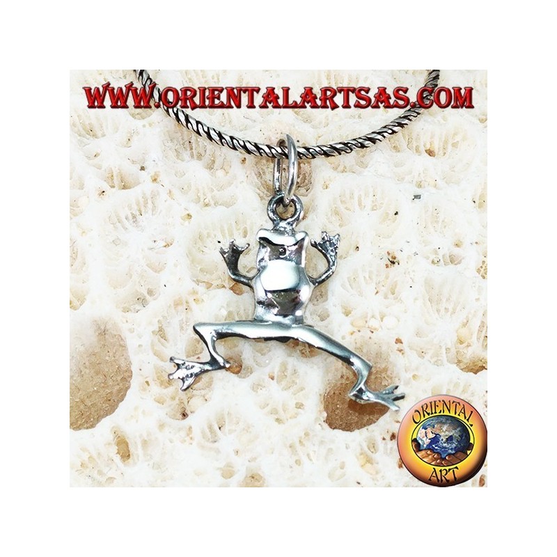 Frosch Silber Anhänger