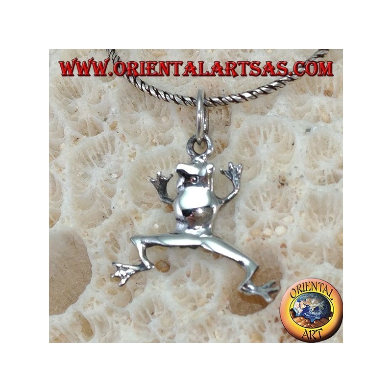 Colgante de plata de rana