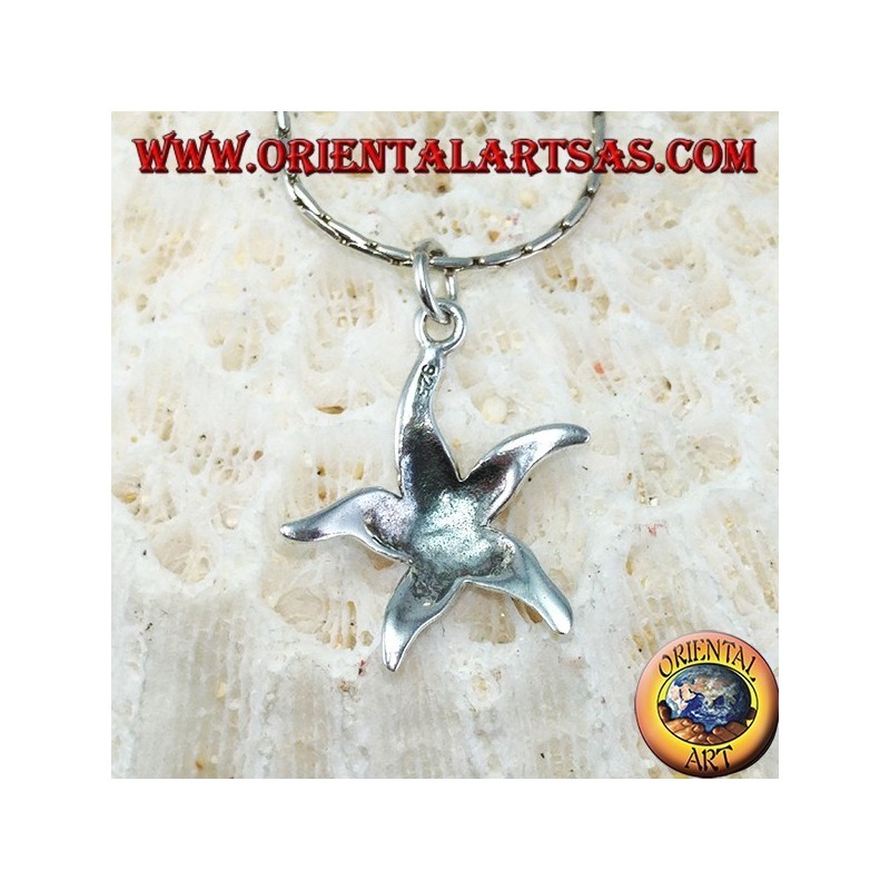 Pendentif en argent, étoile de mer