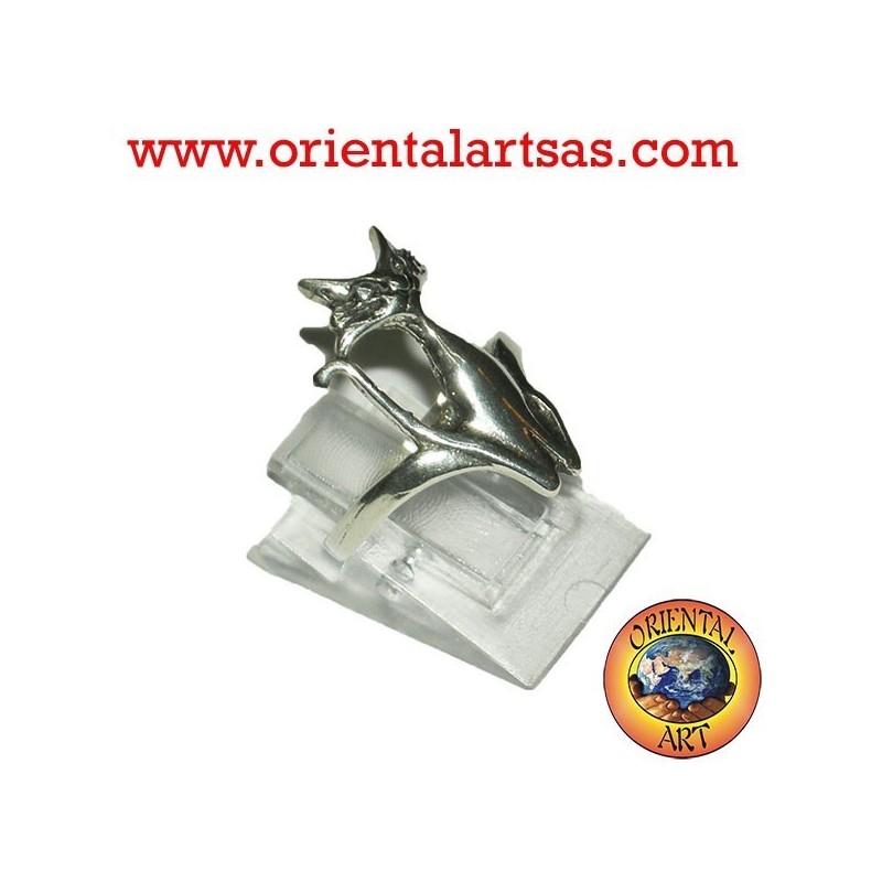 Anello gatto 