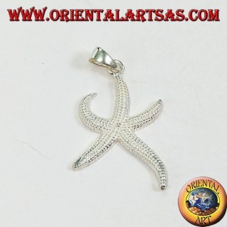 Colgante de estrella de plata (medio)