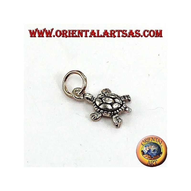 Pendentif en argent, petite tortue terrapine