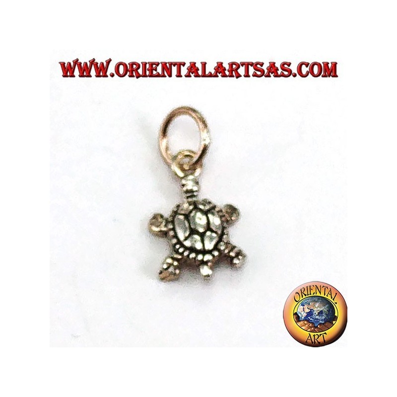 Pendentif en argent, petite tortue terrapine