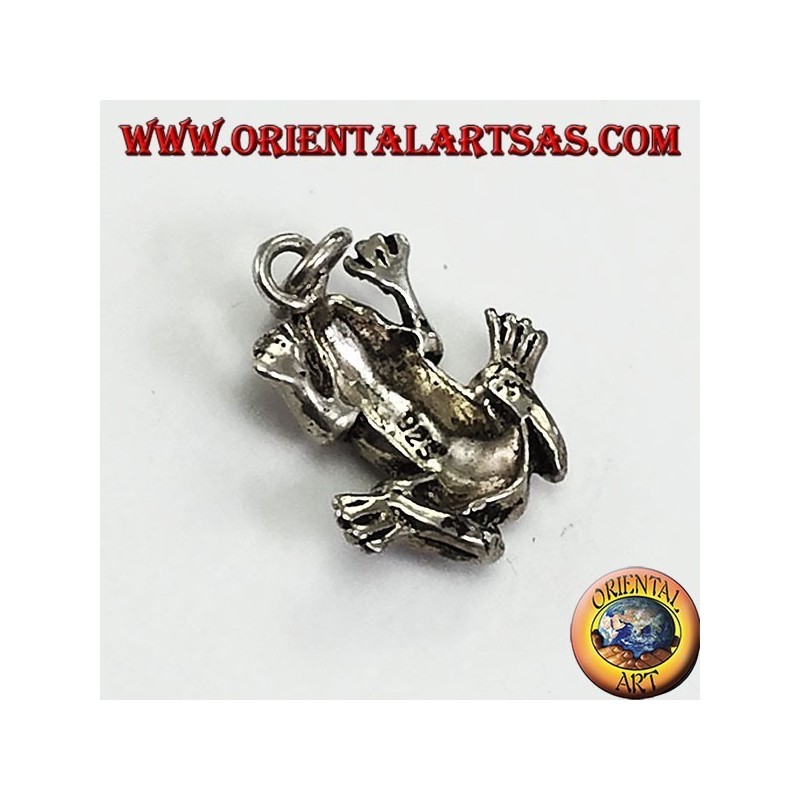 Anhänger in Silber dreidimensionale Frosch Anura