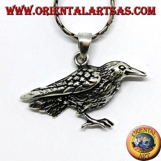 Colgante en plata cuervo pájaro sagrado de Odin