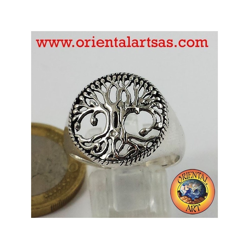 anillos de los árboles de la vida