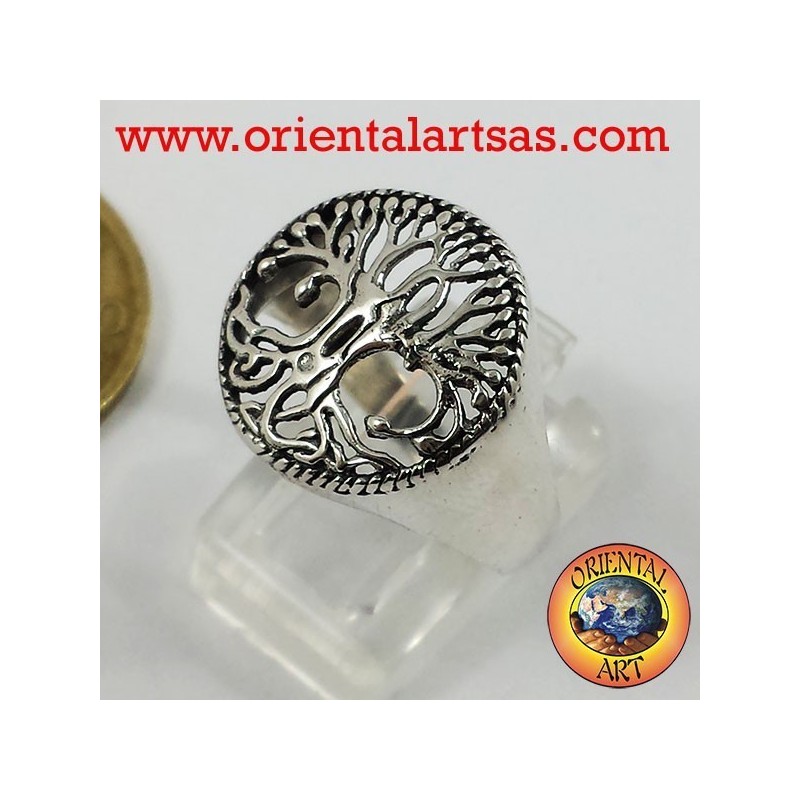 anillos de los árboles de la vida