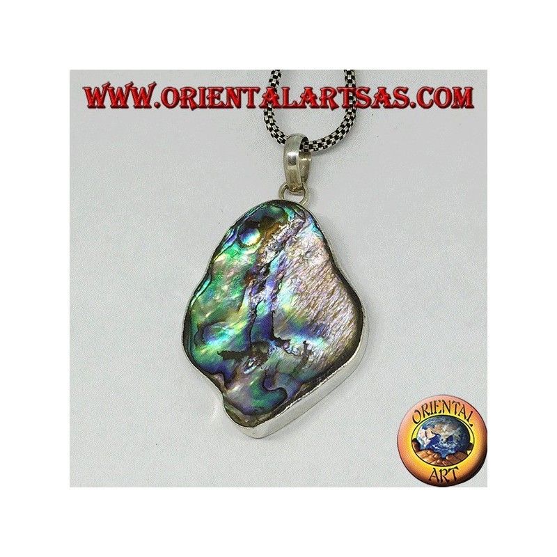 Colgante irregular de plata con caparazón de paua (abulón)