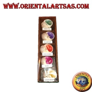 Set of 5 scented candles in the shell with various assorted flavors