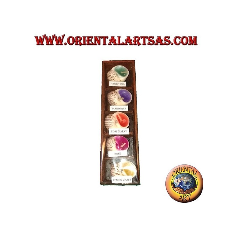 Ensemble de 5 bougies parfumées dans la coquille avec différentes saveurs assorties