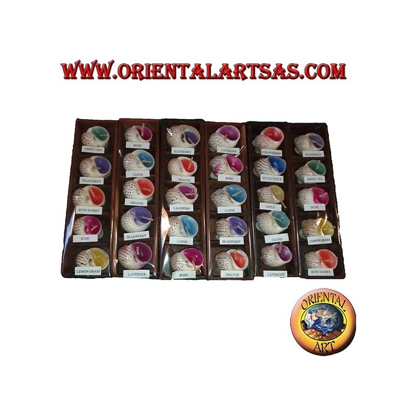 Ensemble de 5 bougies parfumées dans la coquille avec différentes saveurs assorties