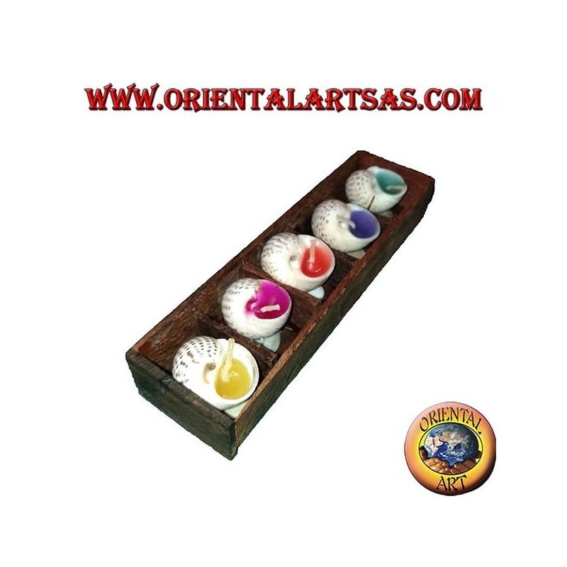 Set of 5 scented candles in the shell with various assorted flavors