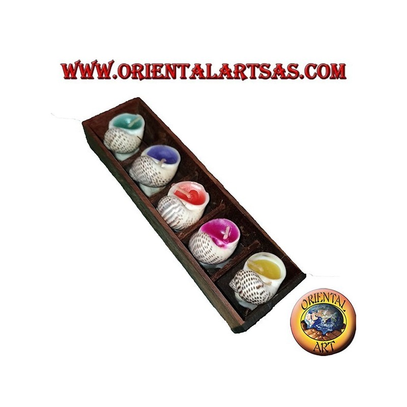Ensemble de 5 bougies parfumées dans la coquille avec différentes saveurs assorties