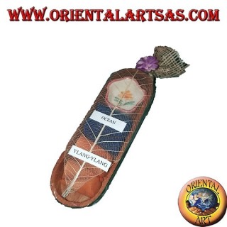 8 Incensi coni bi-gusto con coppetta brucia incensi in ceramica nell'ovale