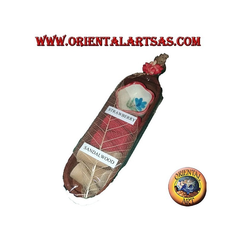 8 Incensi coni bi-gusto con coppetta brucia incensi in ceramica nell'ovale