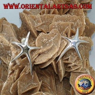 Pendientes de plata con forma de estrella de mar.