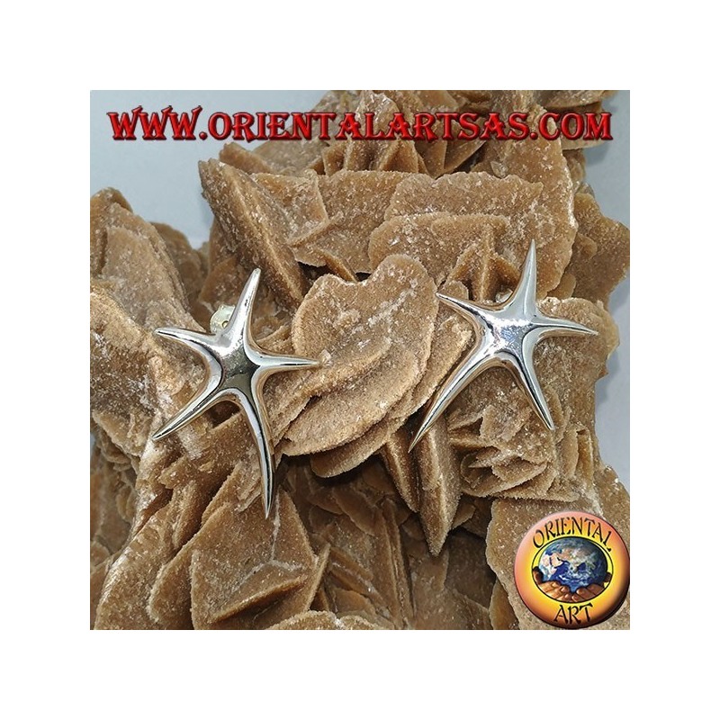 Orecchini in argento da lobo stella marina