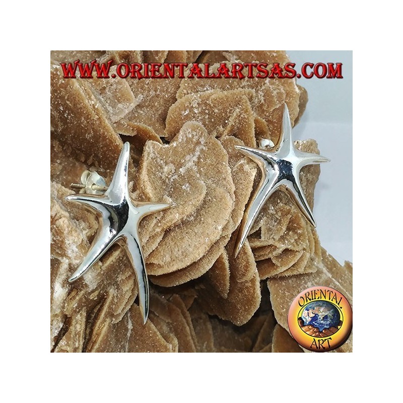 Orecchini in argento da lobo stella marina