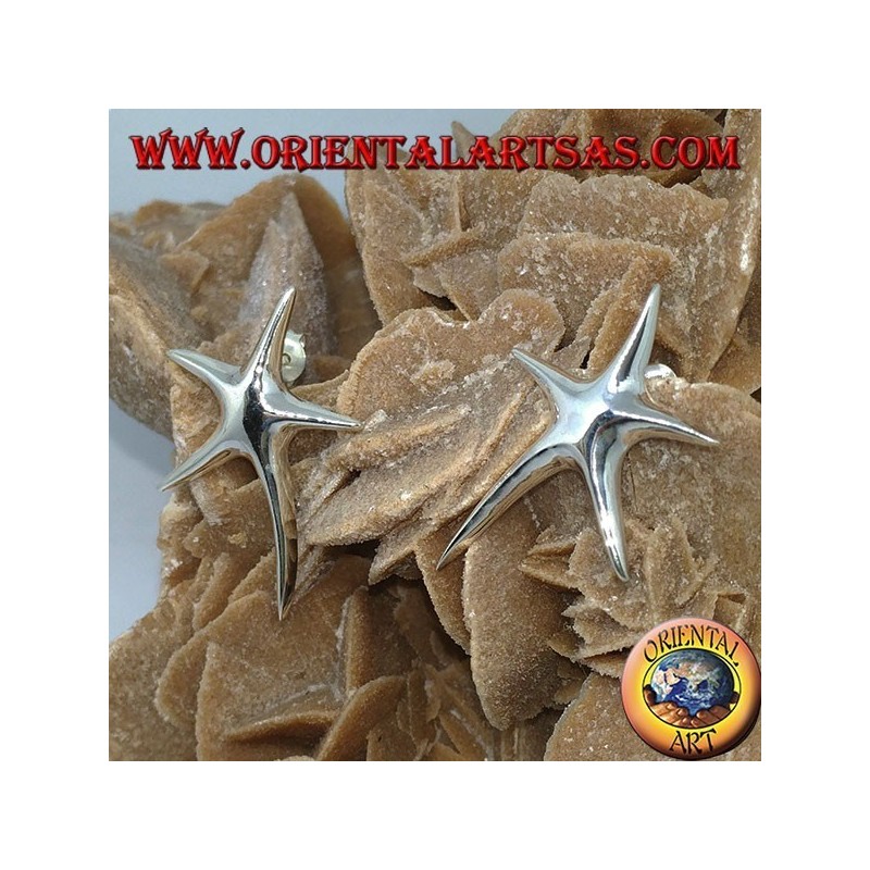 Pendientes de plata con forma de estrella de mar.