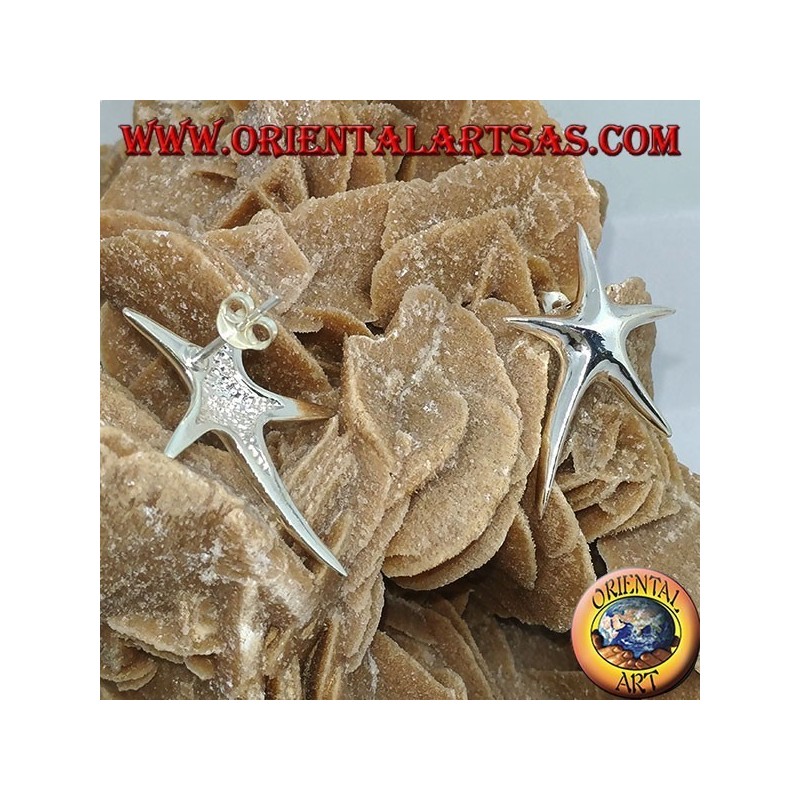 Pendientes de plata con forma de estrella de mar.
