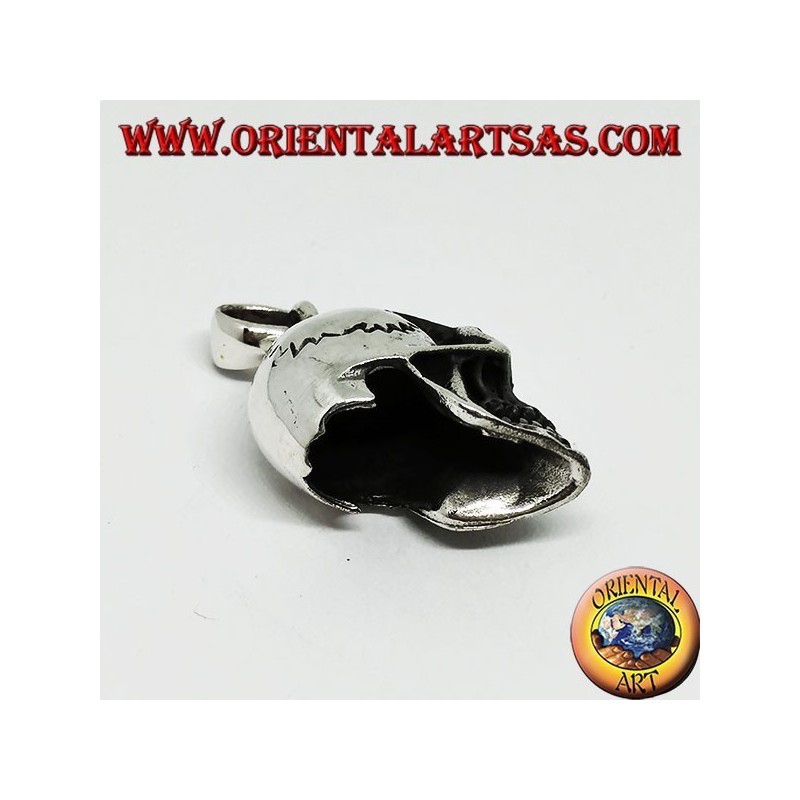 Ciondolo teschio  in argento 925 , homo sapiens.