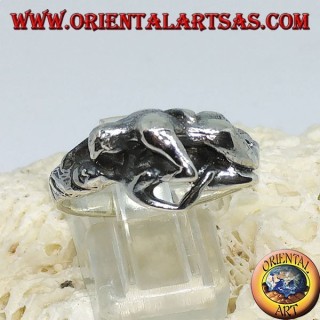 Silver ring, Kamasutra the position of the missionary on the side