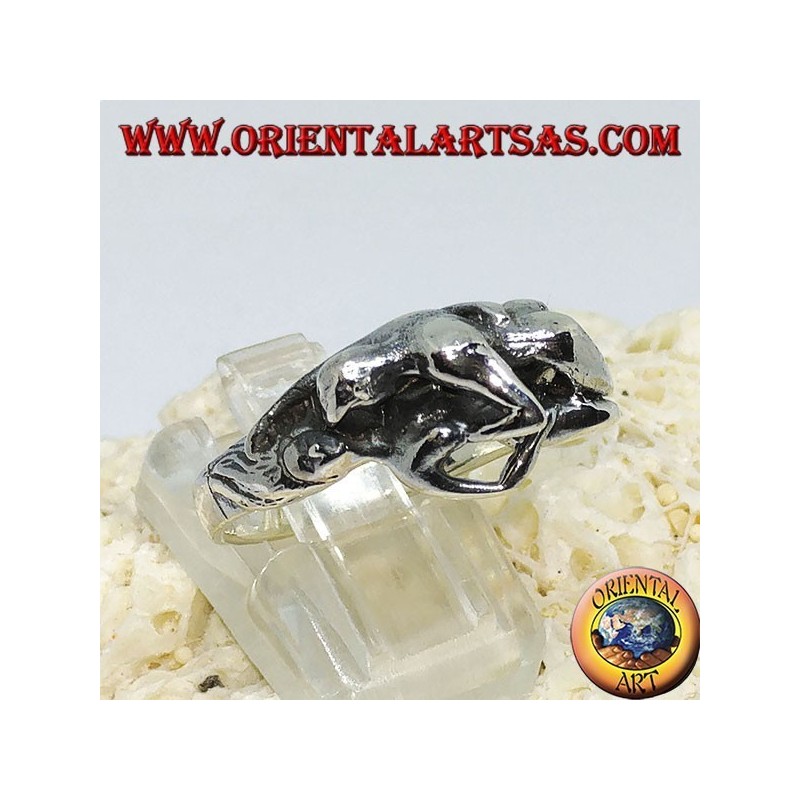 Silver ring, Kamasutra the position of the missionary on the side