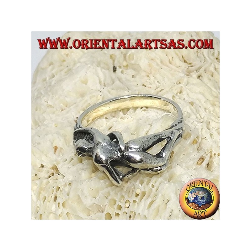 Anillo de plata, Kamasutra la posición del misionero en el lado.