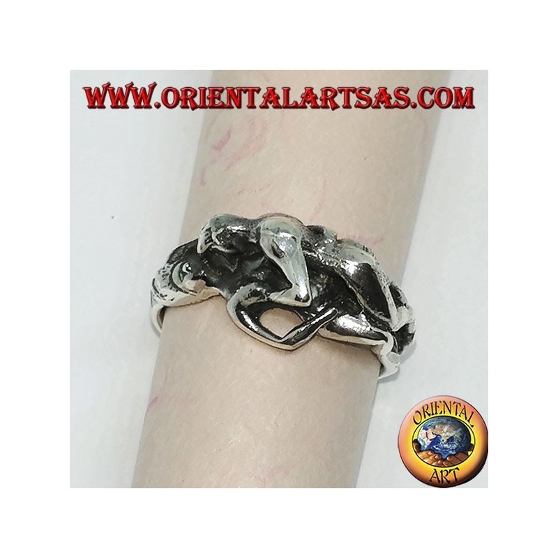 Silver ring, Kamasutra the position of the missionary on the side