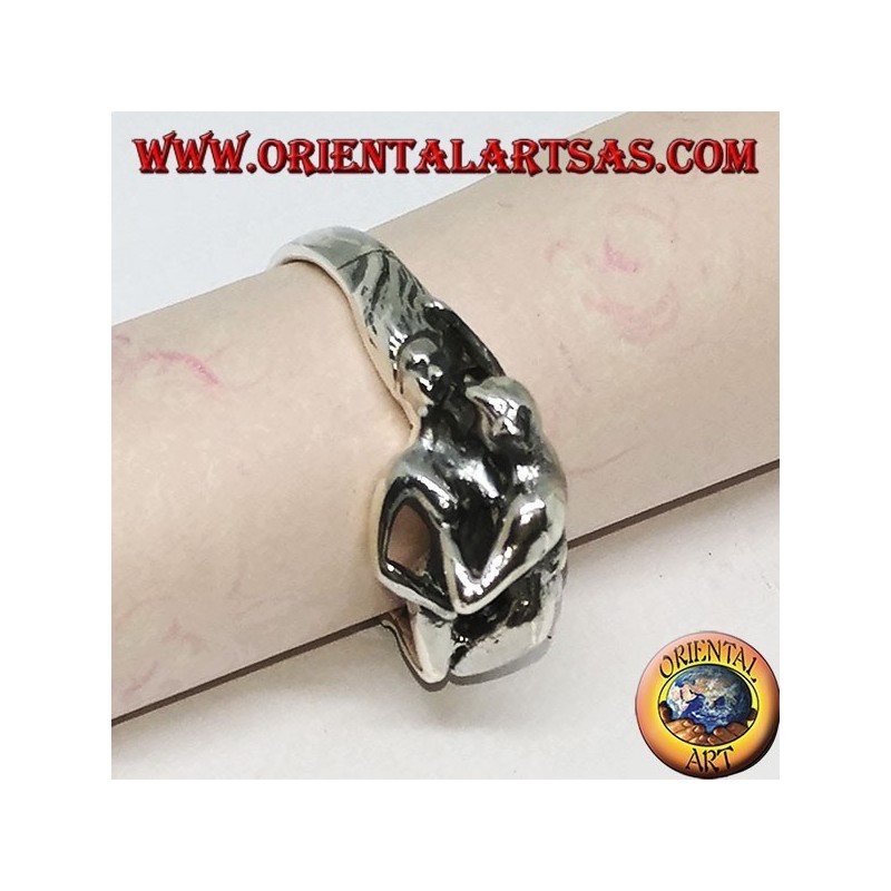 Anillo de plata, Kamasutra la posición del misionero en el lado.