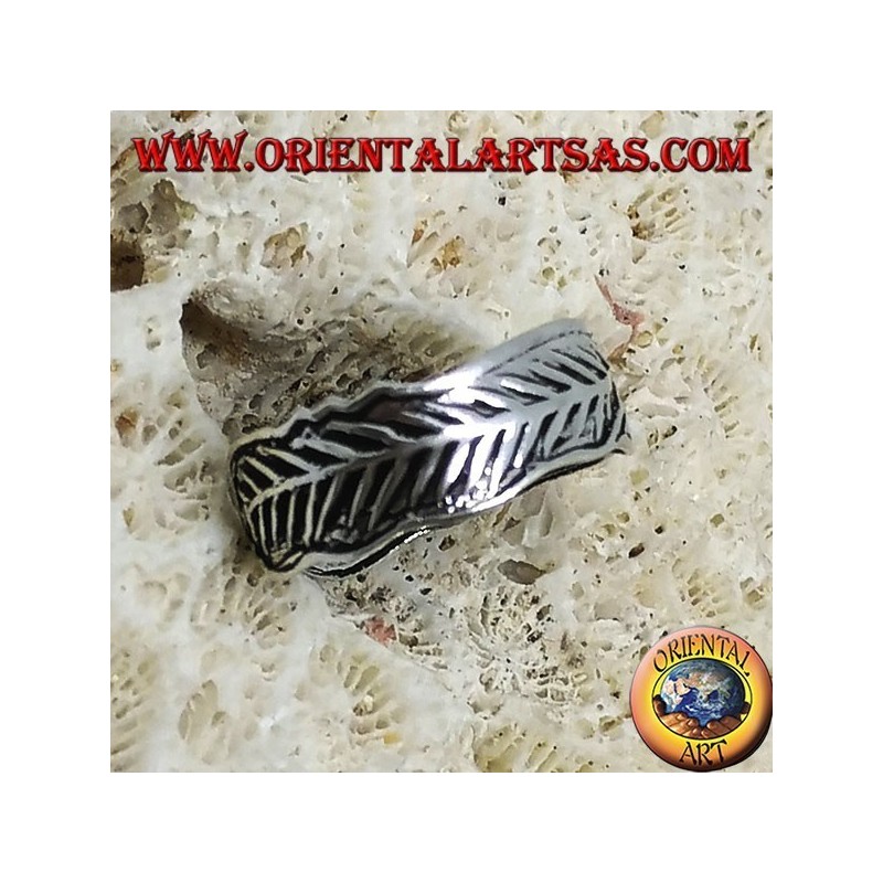 Silver ring for feet or phalanx, feathers