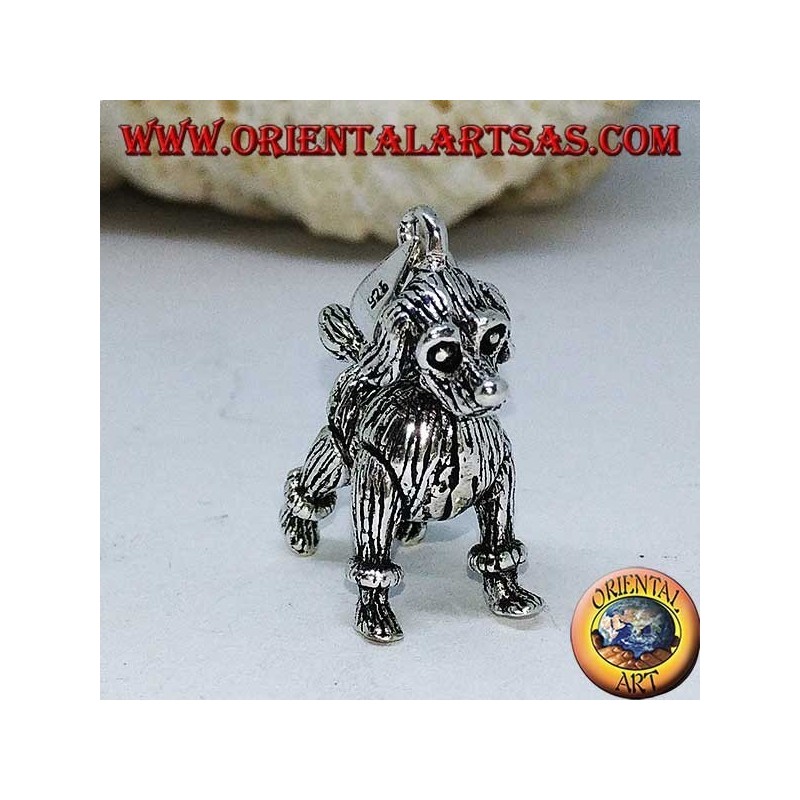 Colgante de plata, el perro el caniche móvil (mueve las patas, la cabeza y la cola)