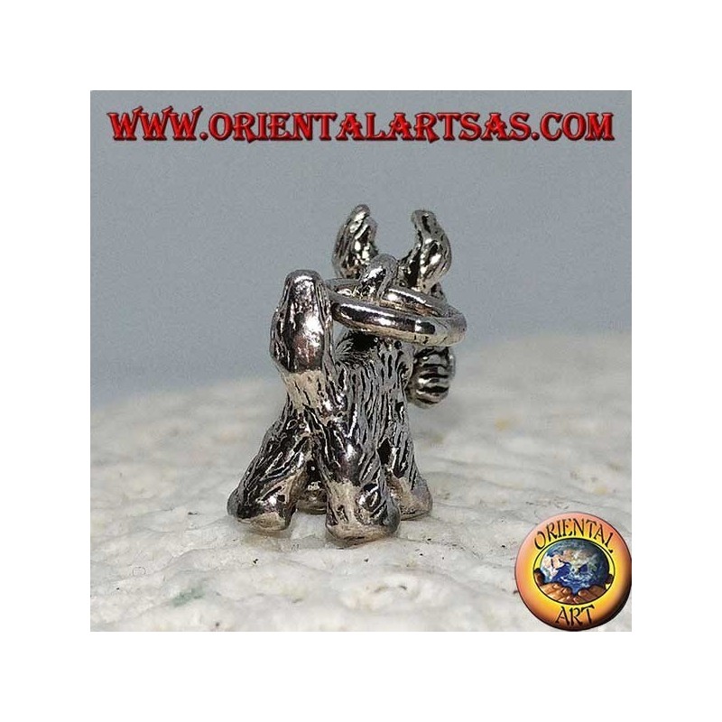Ciondolo in argento del cane di razza Terrier  Yorkshire