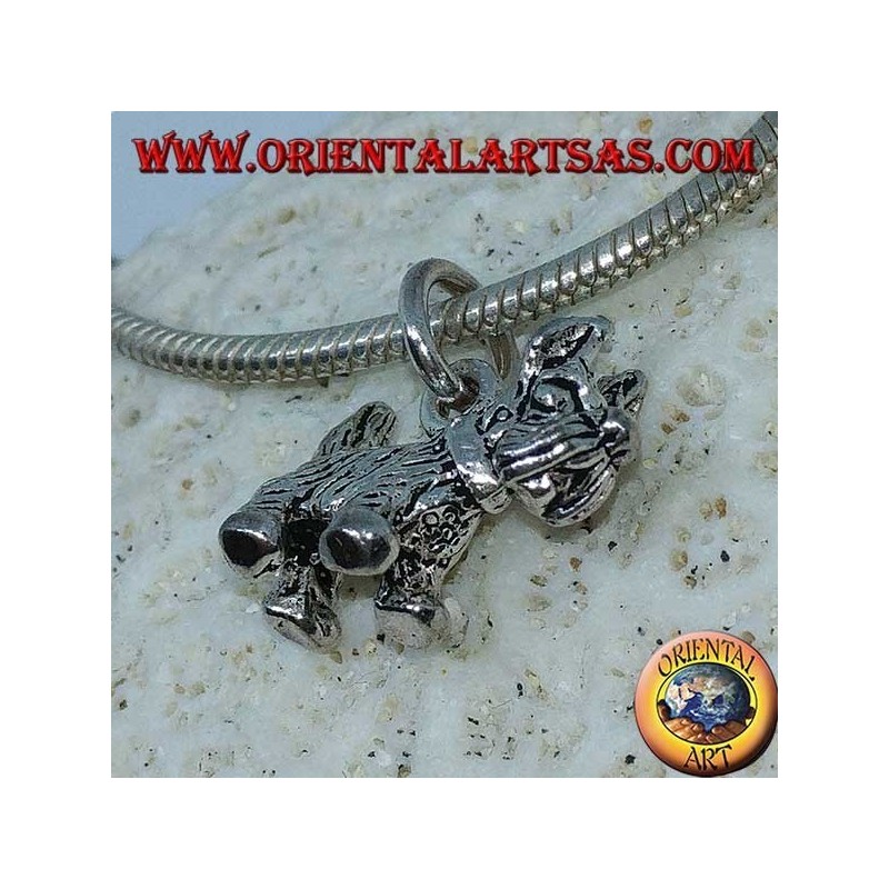 Ciondolo in argento del cane di razza Terrier  Yorkshire