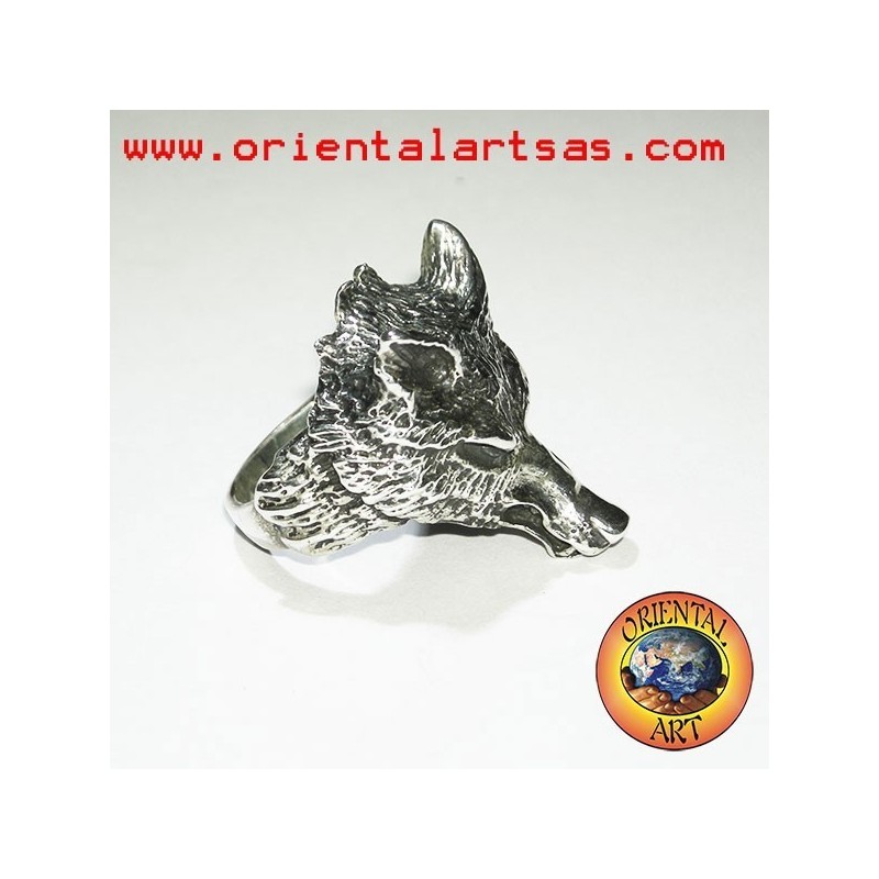 Anello Lupo