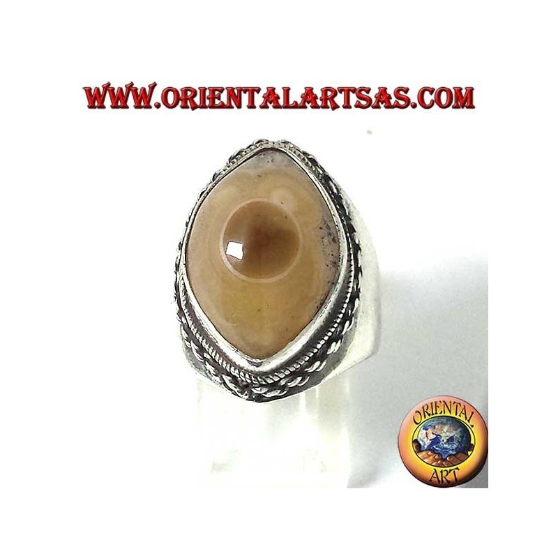 Silver ring with third eye of Shiva agate and chain border