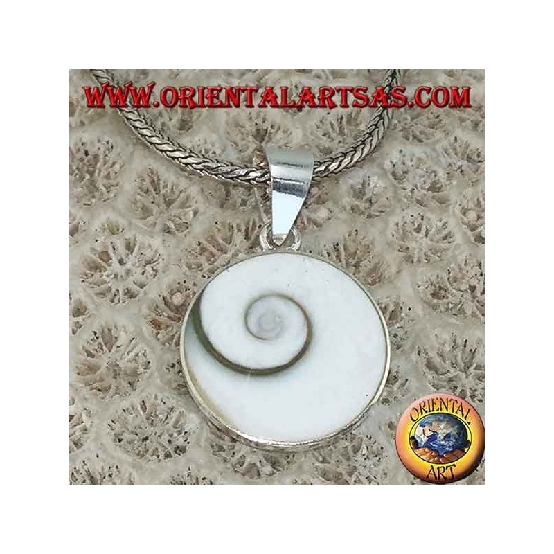 Pendant silver pendant eye of Saint Lucia shell Astraea rugosa