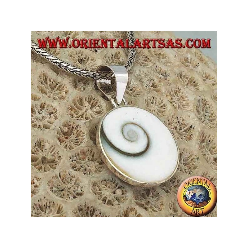 Pendant silver pendant eye of Saint Lucia shell Astraea rugosa