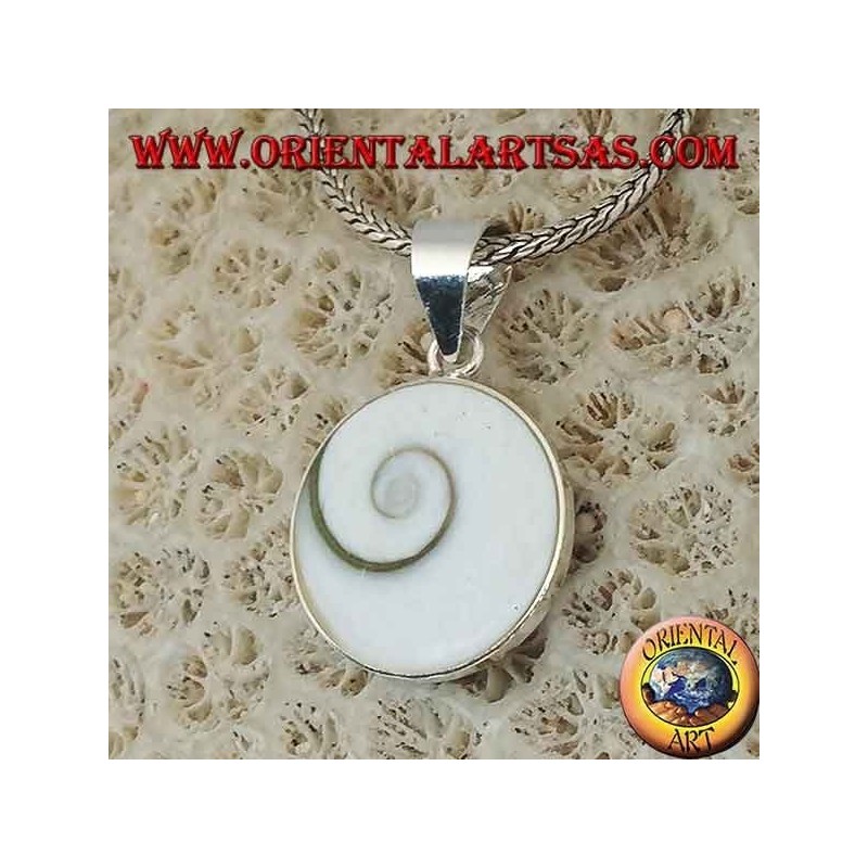 Pendant silver pendant eye of Saint Lucia shell Astraea rugosa