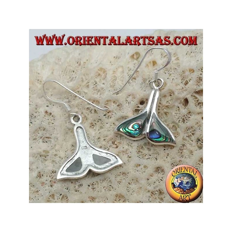 Silver whale tail earrings with paua shell (Haliotis iris)
