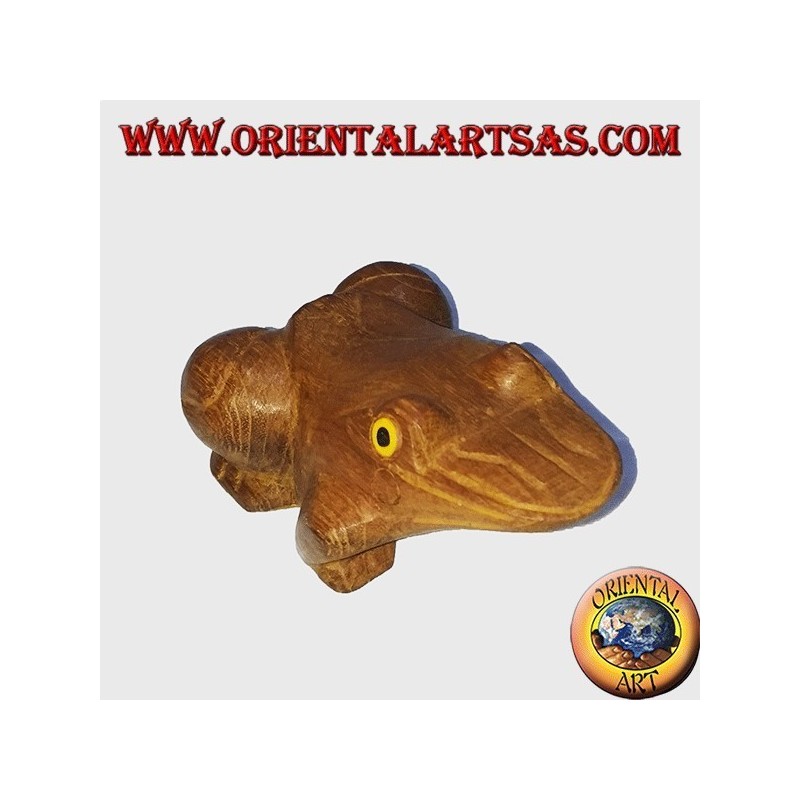 Rana de teca con ojos amarillos