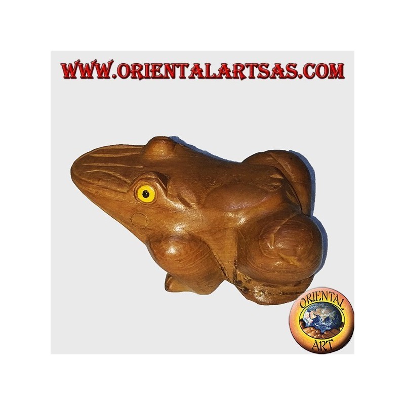 Teakholzfrosch mit gelben Augen