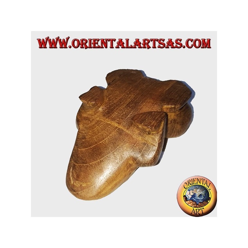 Teak wood frog with yellow eyes