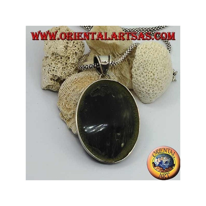 Silver cameo pendant on large oval mother of pearl (abalone)