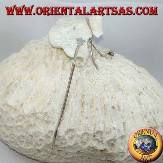 Orecchini in argento a farfalla con stella a lobo e catenina stile snake da 10 cm