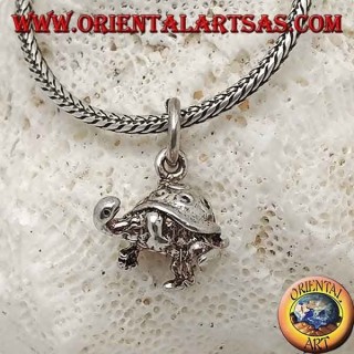 Pequeño colgante tridimensional de plata de tortuga con espirales en la concha